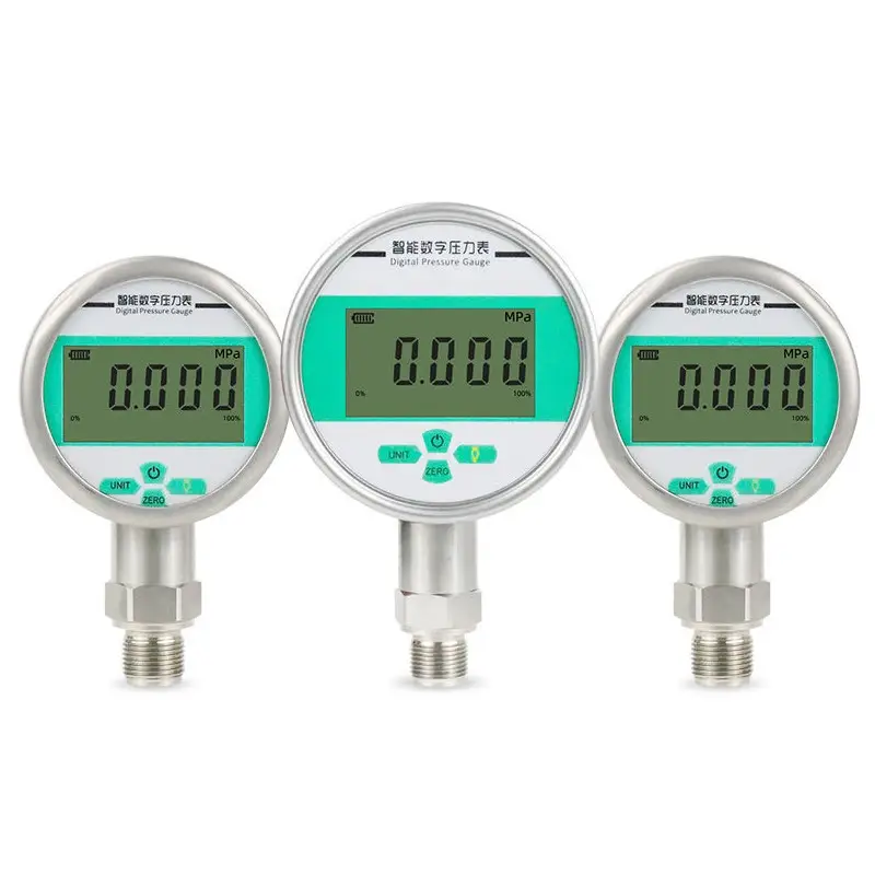 Digital Pressure Gauge — Digital Pressure Gauge 1