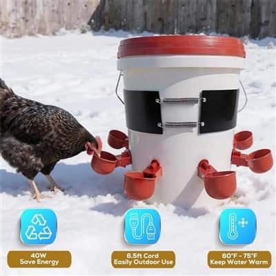 Poultry Water Heater